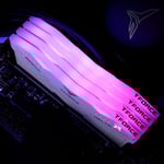TEAMGROUP T-Force Delta RGB DDR5 32GB (2x8GB) 5600MHz CL36 Desktop Memory White thumbnail 5