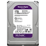 Western Digital Purple 1TB SATA 3.5in Internal HDD thumbnail 3