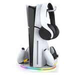 Ipega PG-P5S045 PS5 Vertical Stand White USB-C Mount thumbnail 2