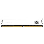 Asgard DDR4 32GB (2x16GB) 3200MHz Desktop Memory thumbnail 2