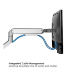 Monitor Economical Spring-Assisted Monitor Arm thumbnail 6
