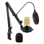 Pro Mic Studio Microphone Large Diaphragm Condenser thumbnail 5