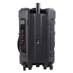 NDR P12 12" Wireless Bluetooth Karaoke Speaker RGB thumbnail 2