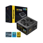 Segotep GN750W 750W 80+ Gold Non-Modular ATX 3.0 & PCIe 5.0 Power Supply thumbnail 9
