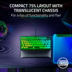 كيبورد Razer BlackWidow V4 75% Orange Tactile Hot-Swappable USB-C RGB thumbnail 13