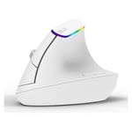 Delux M618C Vertical Ergonomic Wireless Mouse White RGB thumbnail 2