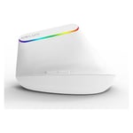 Delux M618C Vertical Ergonomic Wireless Mouse White RGB thumbnail 3