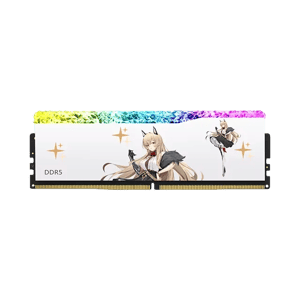 Juhor DDR5 32GB (2x16GB) 6800MHz RGB Desktop Memory