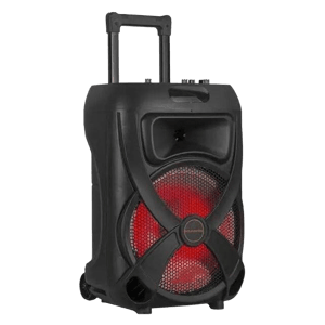 Ailiang Kolav XH1222 12" Speaker w/ Dual Mics & Remote