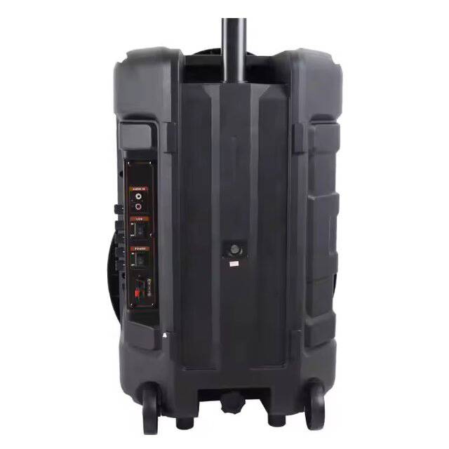 NDR P12 12" Wireless Bluetooth Karaoke Speaker RGB - 2