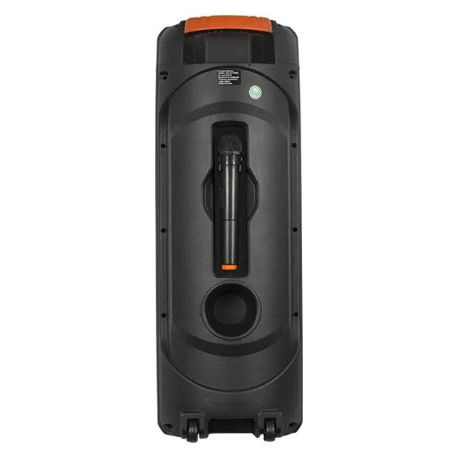 Ailiang Kolav F2805 Dual 8" Portable Karaoke Speaker RGB - 2