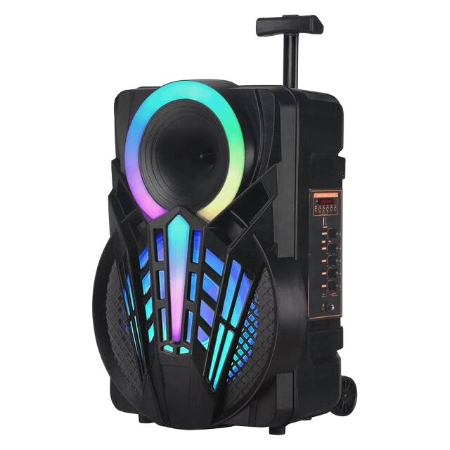 NDR P12 12" Wireless Bluetooth Karaoke Speaker RGB - 1