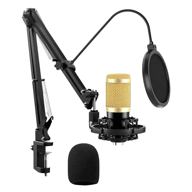 Pro Mic Studio Microphone Large Diaphragm Condenser - 1