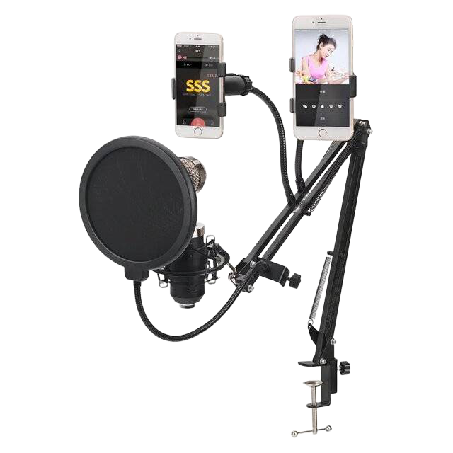 Professional Microphone Pop Shield - 1