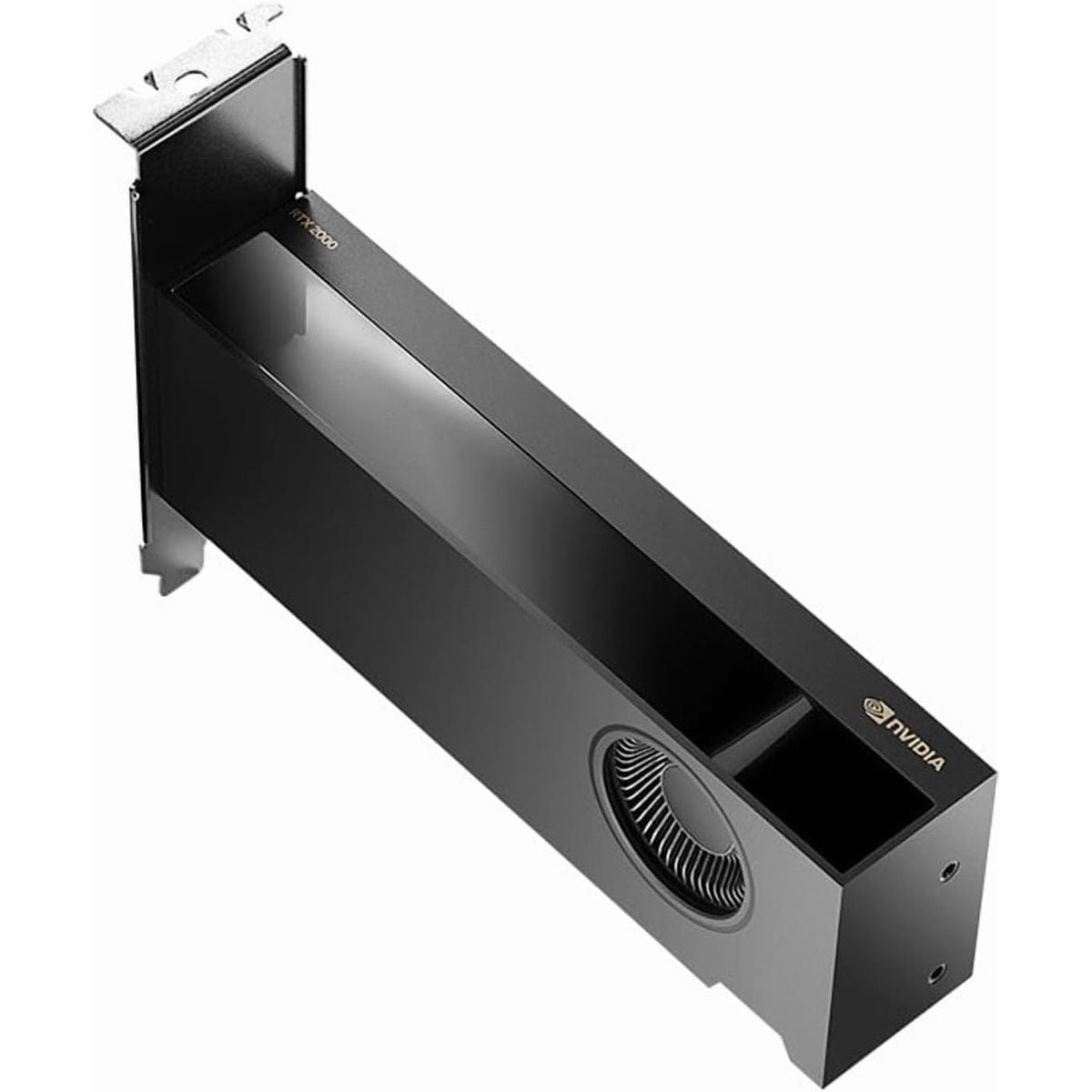 PNY RTX 2000 Ada Generation 16GB GDDR6 PCIe 4.0 x8 - 1