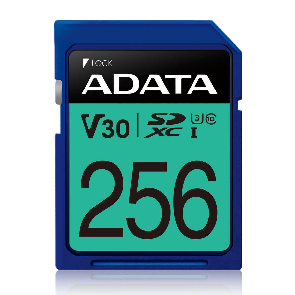بطاقة ذاكرة ADATA Premier Pro 256GB UHS-I V10 A1 100MB/s - 1