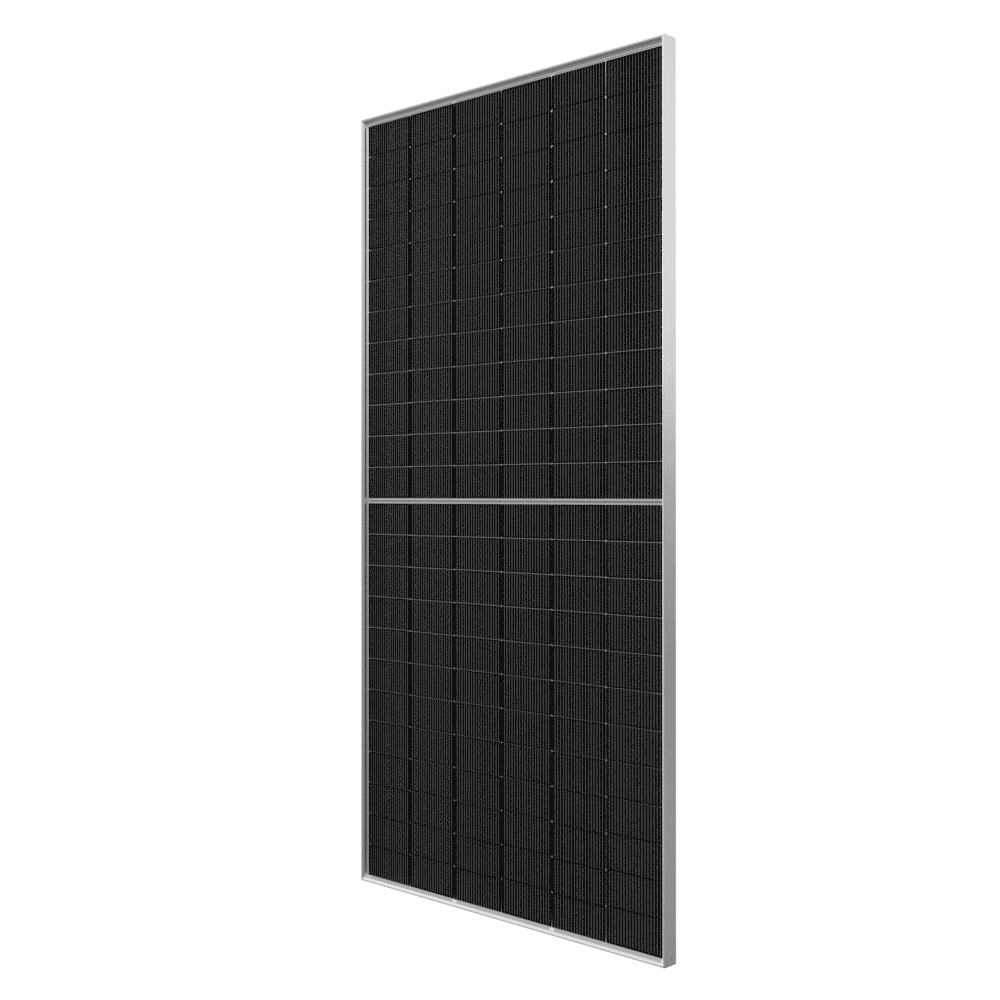 Longi Hi-MO 7 610W Bifacial Solar Panel - 1